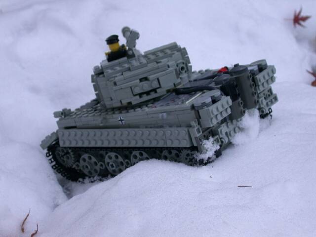 snowtiger0008.jpg