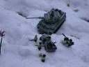 snowtiger0002.jpg