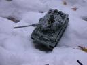 snowtiger0007.jpg
