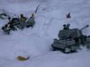 snowtiger0010.jpg