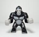 p8029657a.jpg