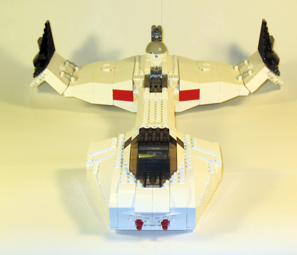 starbird09_fore.jpg