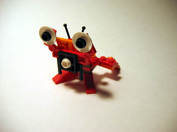 red01_1.jpg