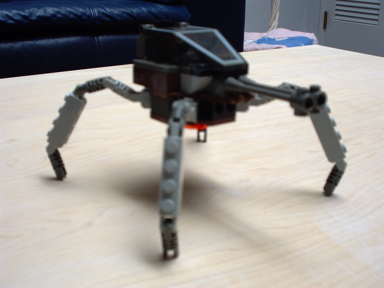tarantula.jpg