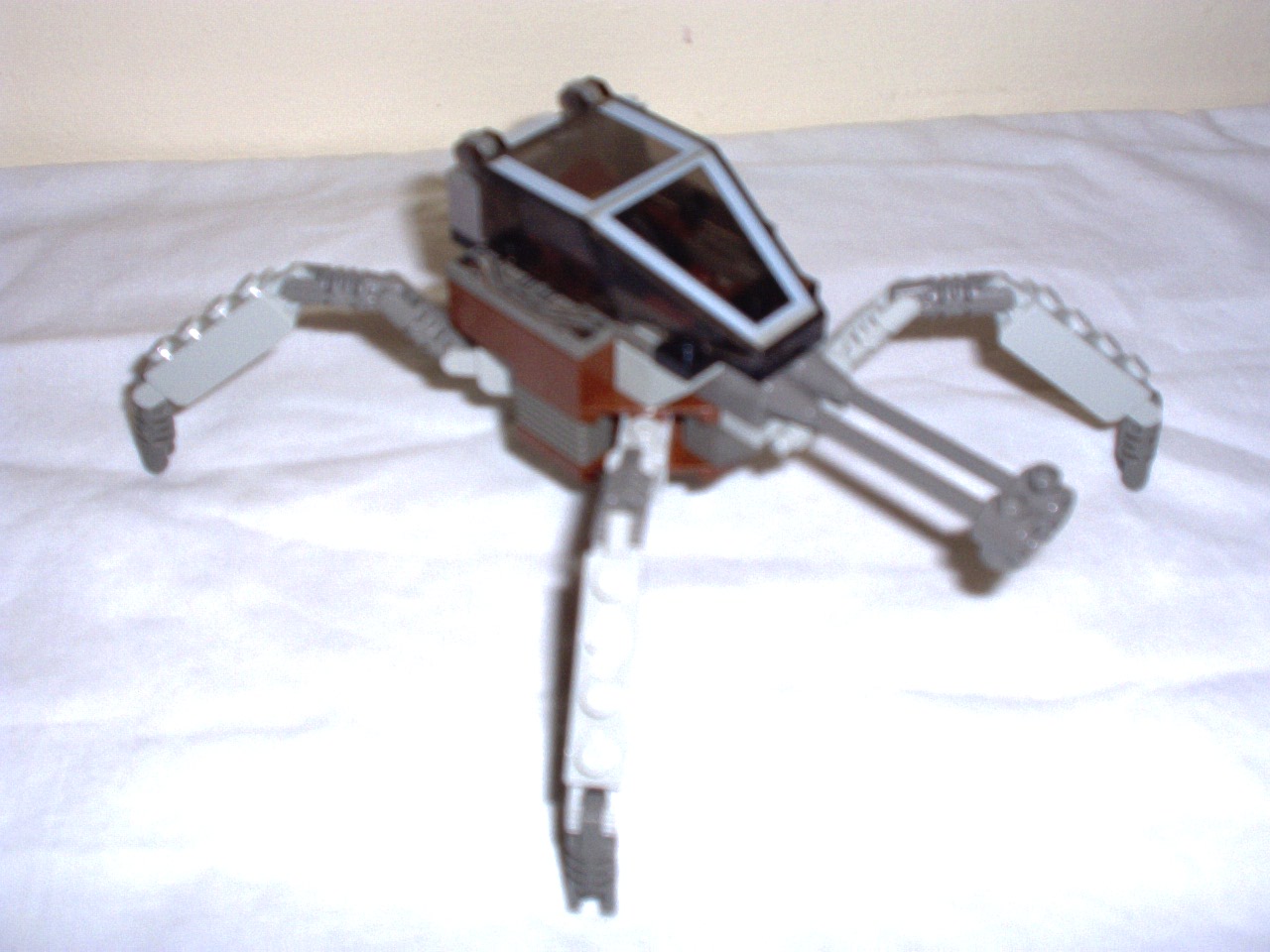 tarantula.jpg