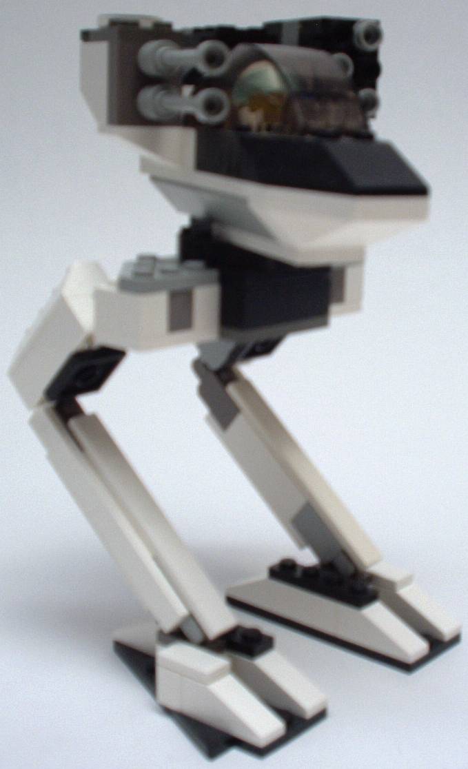 raven1.jpg