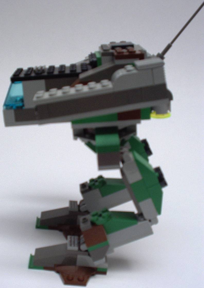 shad2.jpg