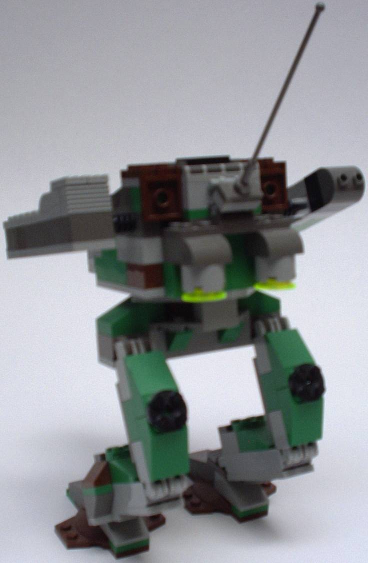 shad3.jpg