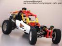 01-buggy-012.jpg