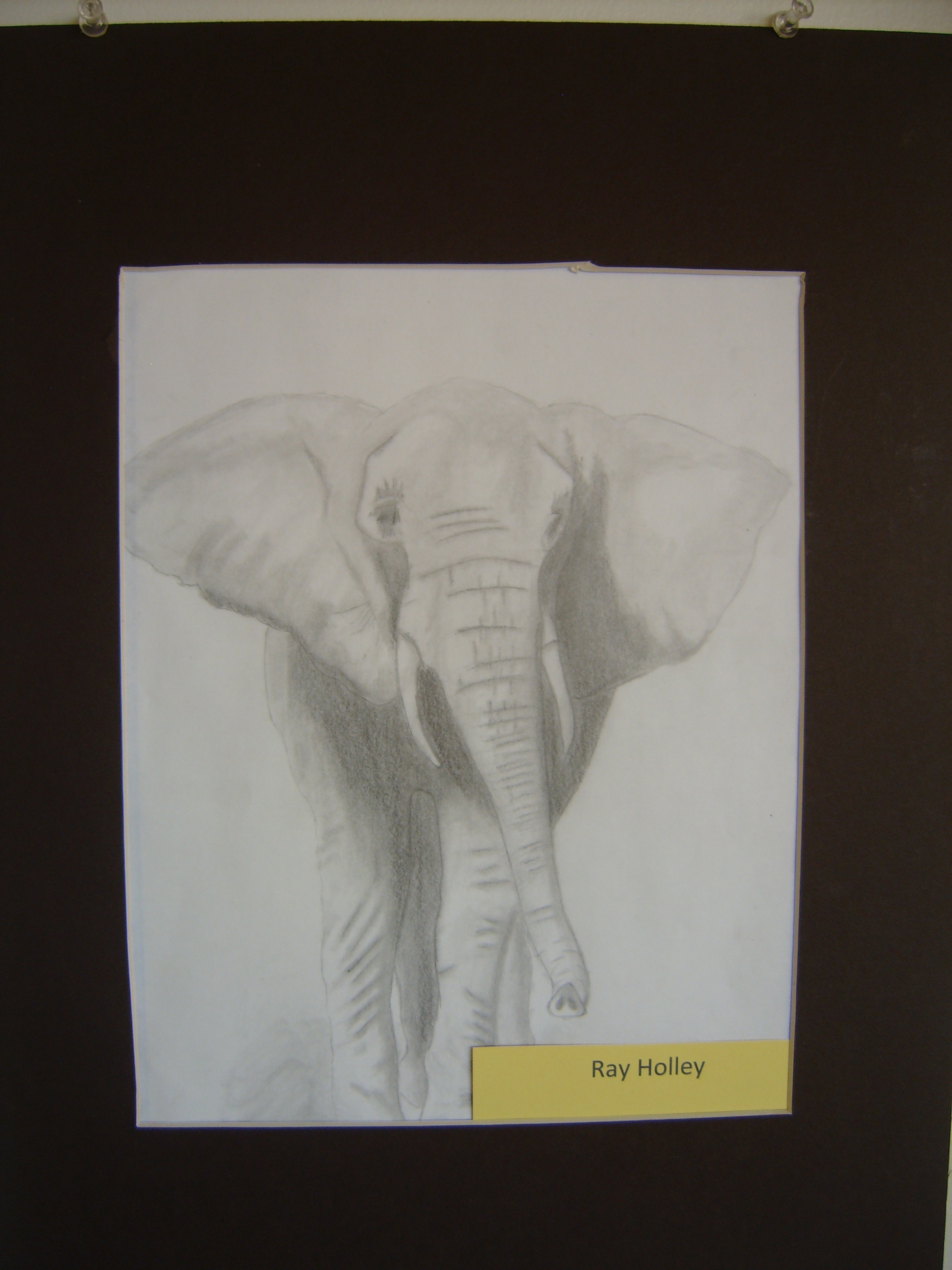 elephant_-_graphite_-_drawing_i.jpg