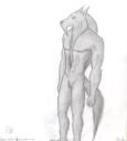 azitix_male_wolf.jpg