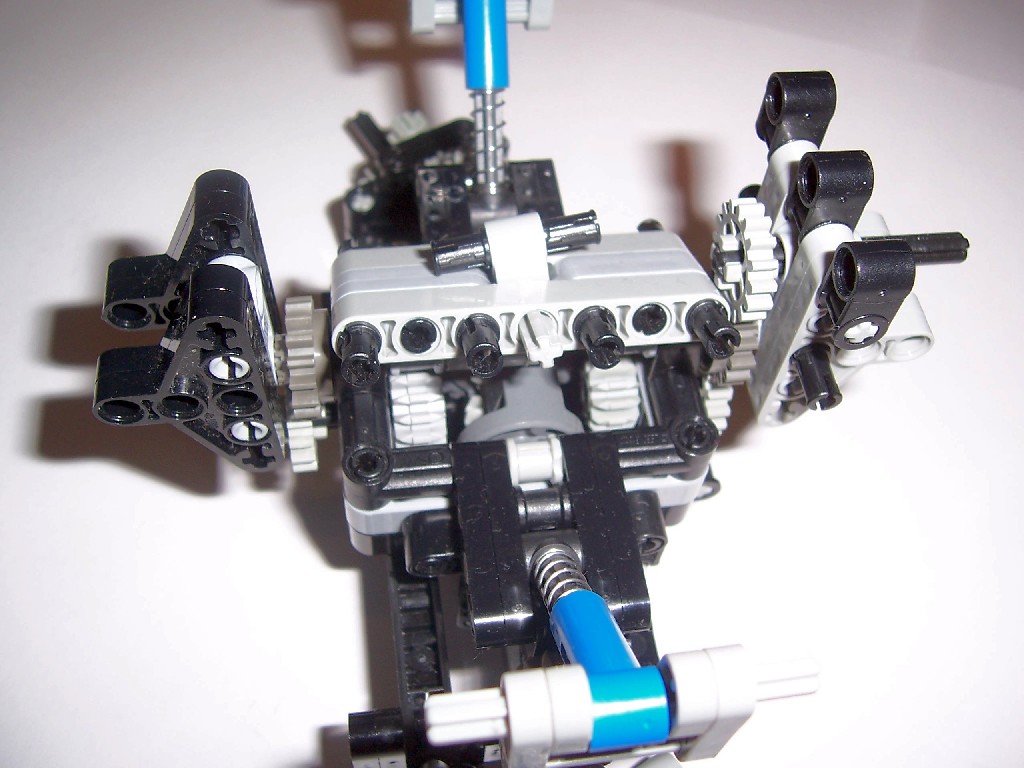 image368.jpg