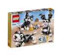 b3_31021_box_back.jpg