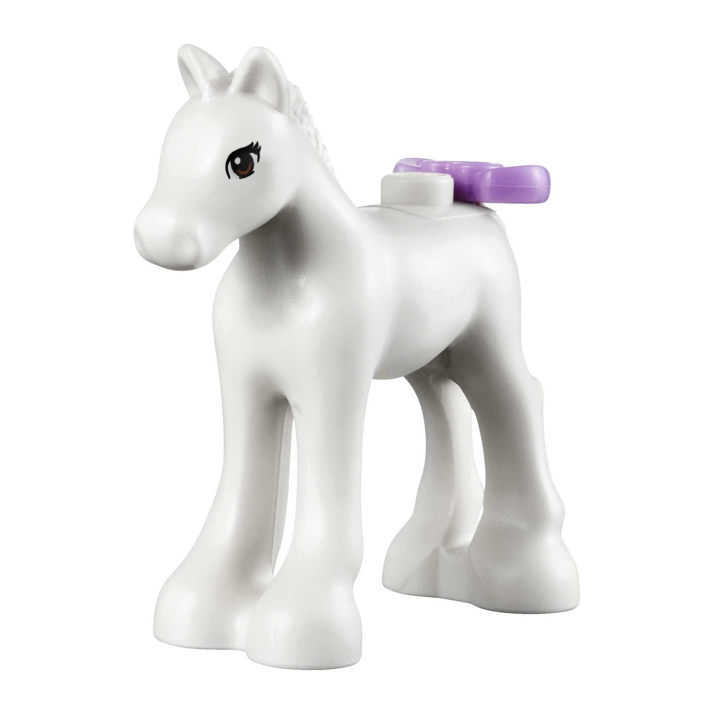 o_41003_foal.jpg