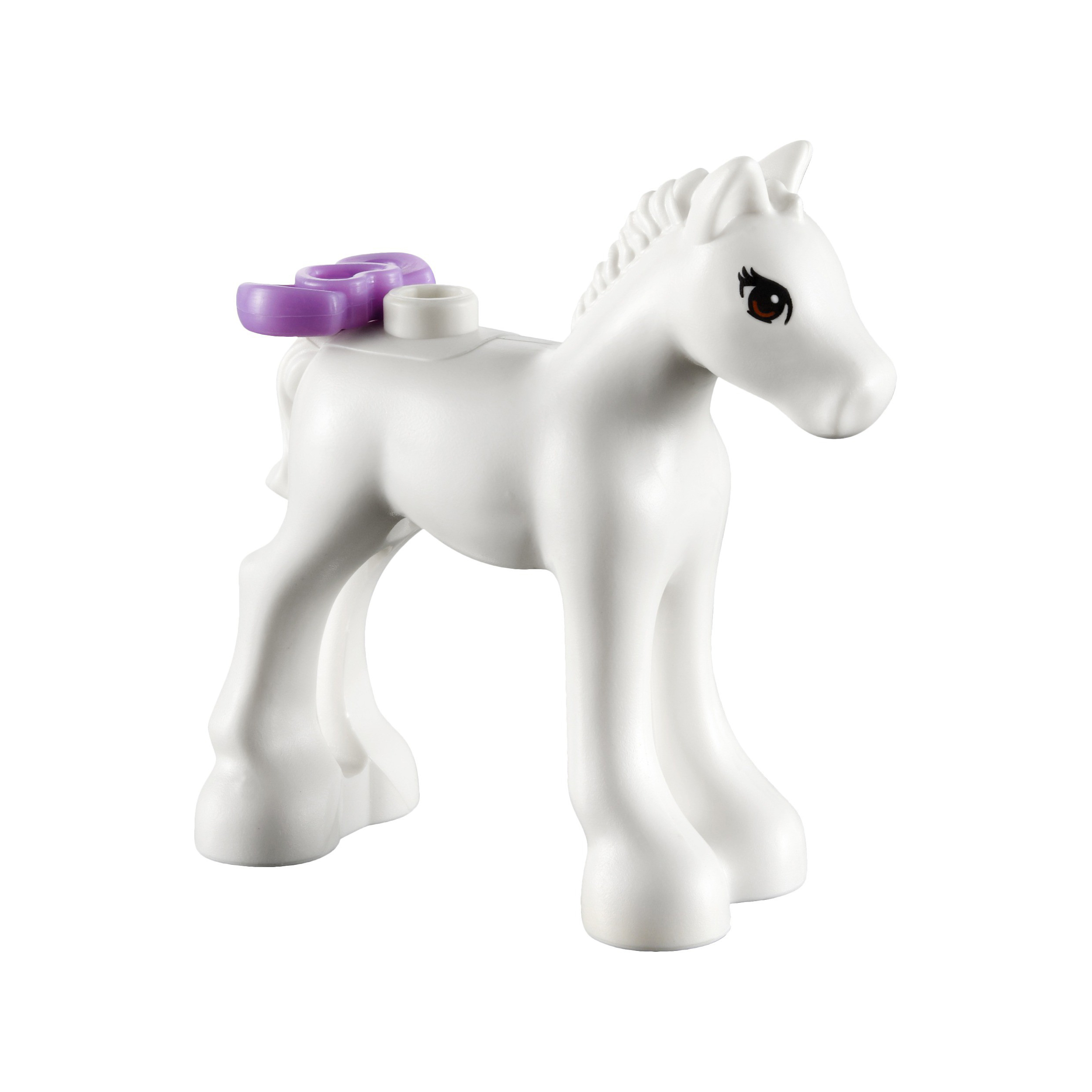 p_41003_foal_2.jpg
