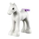 o_41003_foal.jpg