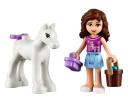 q_41003_olivia_and_foal.jpg
