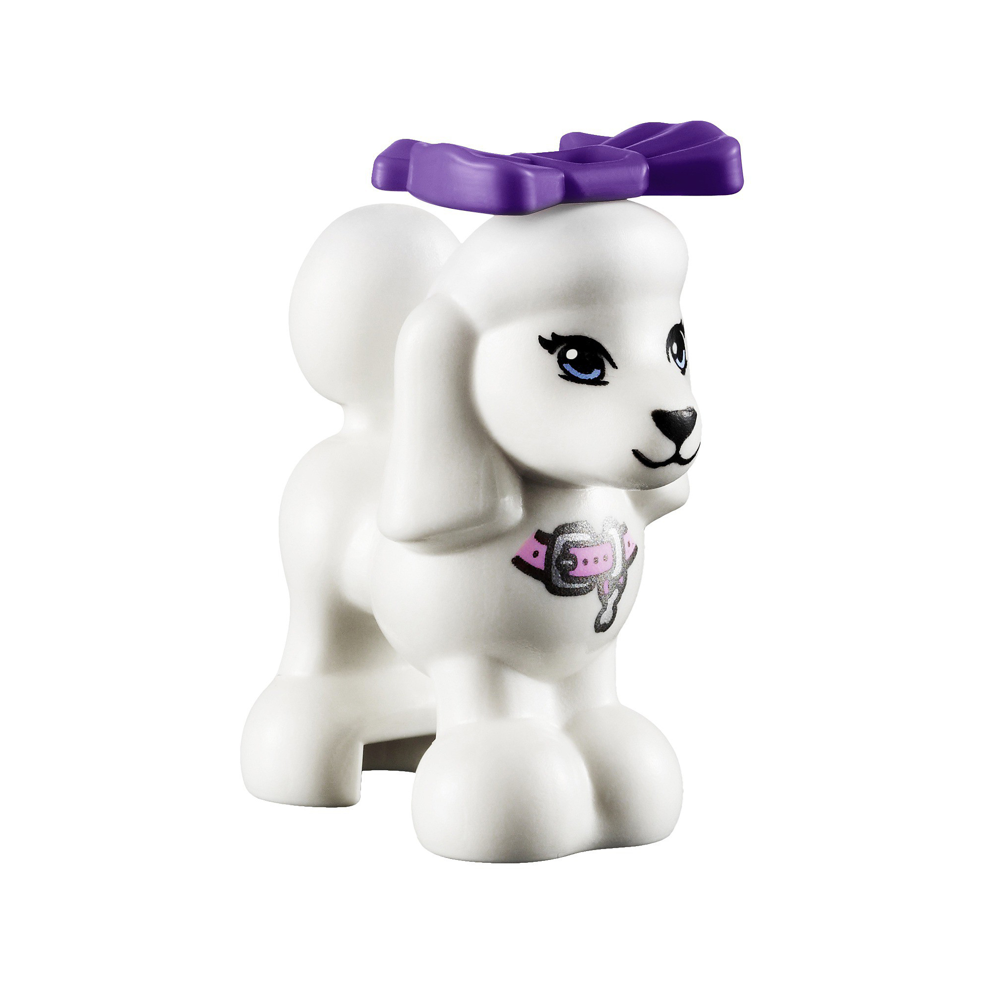 q_41007_poodle.jpg