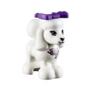 q_41007_poodle.jpg
