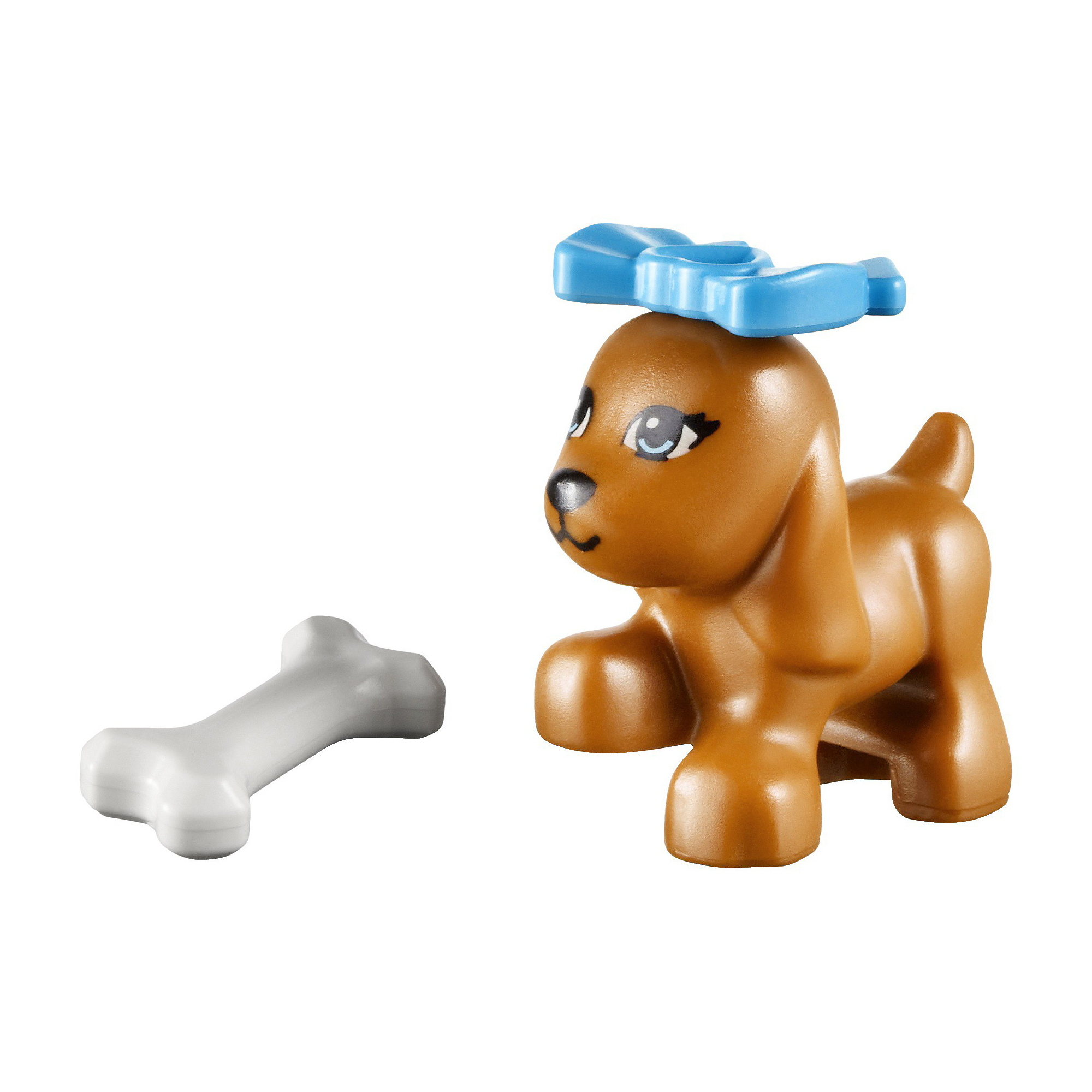 o_41011_puppy.jpg