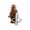 f_7958_chewbacca.jpg