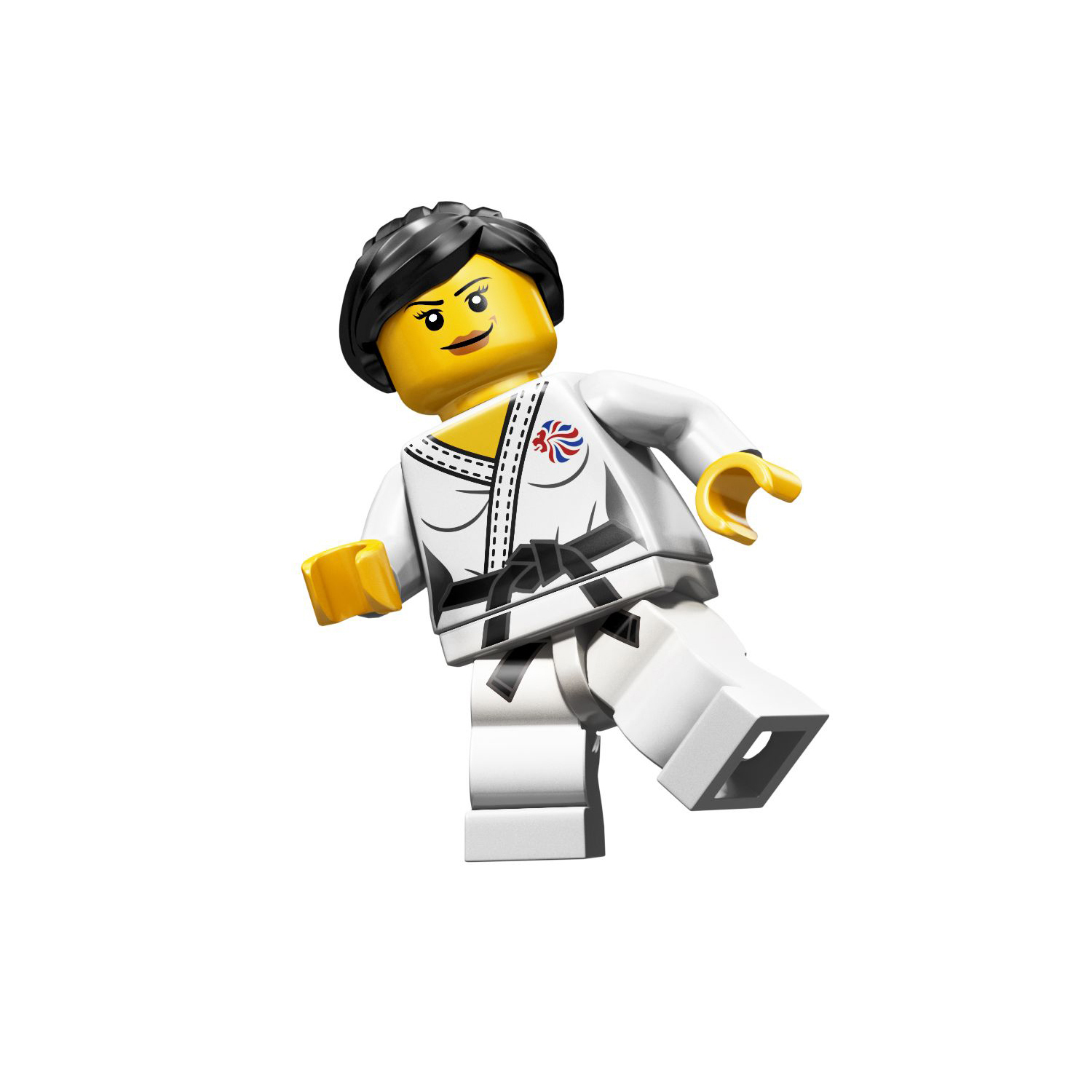 h_8909_judo_fighter.jpg