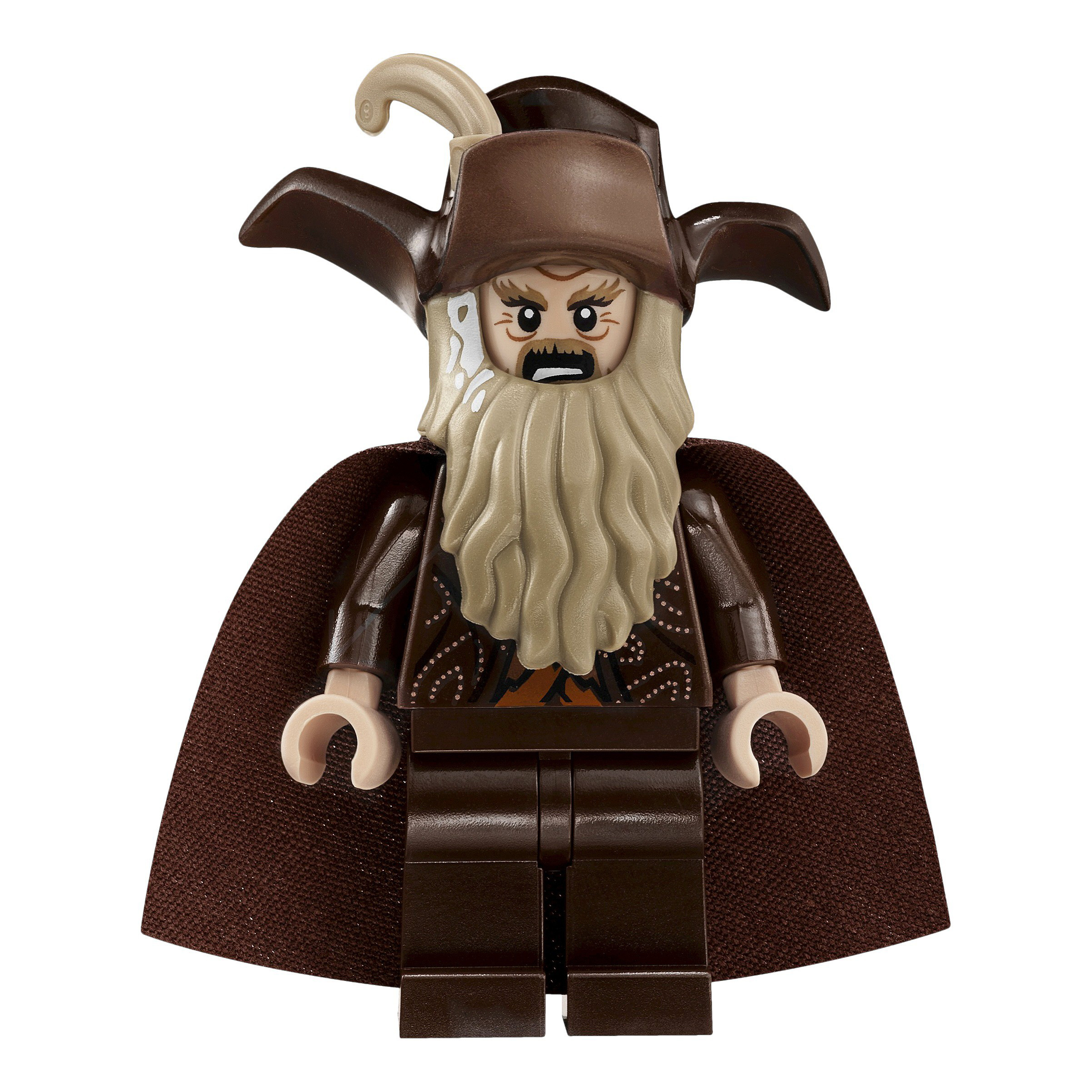 p_79014_radagast.jpg