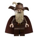 p_79014_radagast.jpg