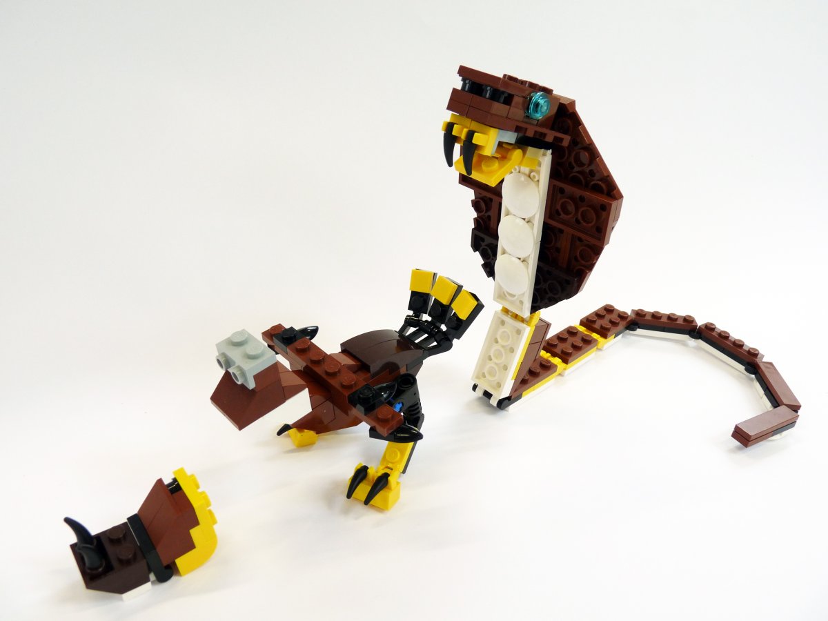 cobra004.jpg
