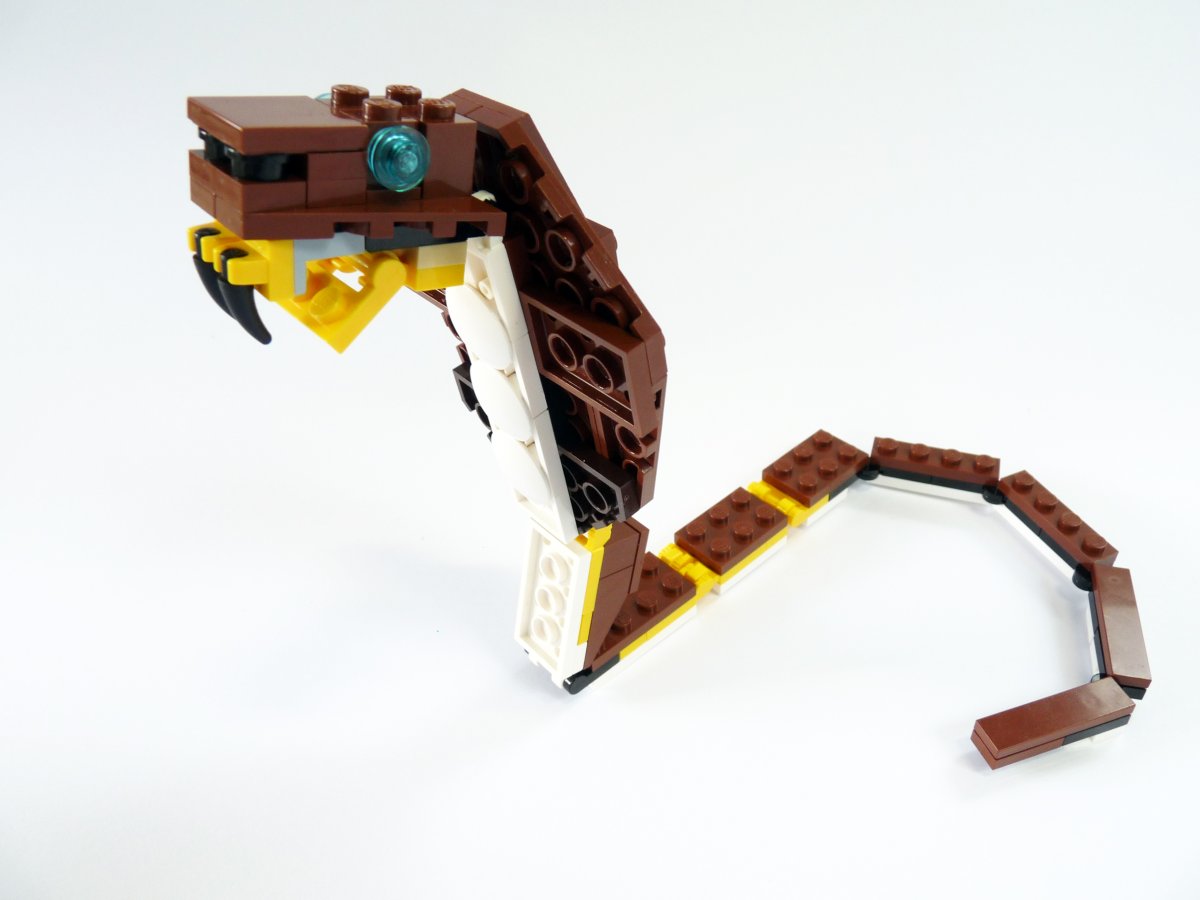 cobra007.jpg