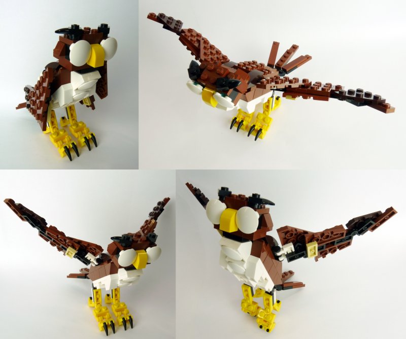 owl001.jpg