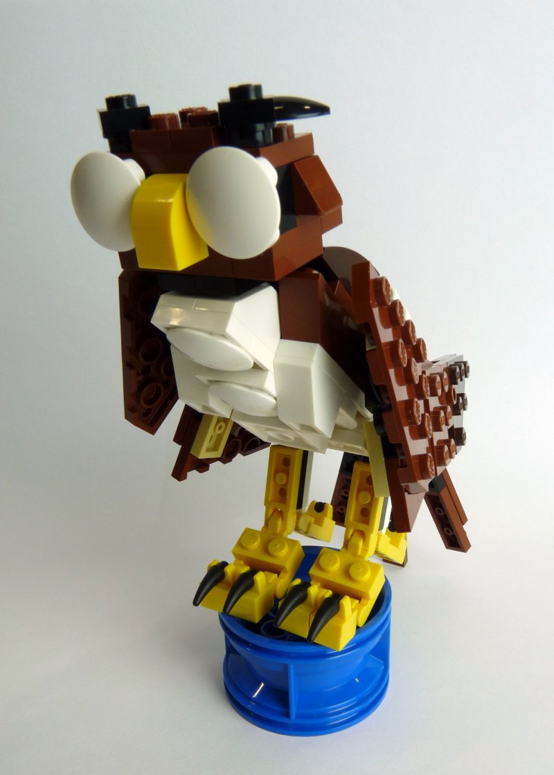owl002.jpg