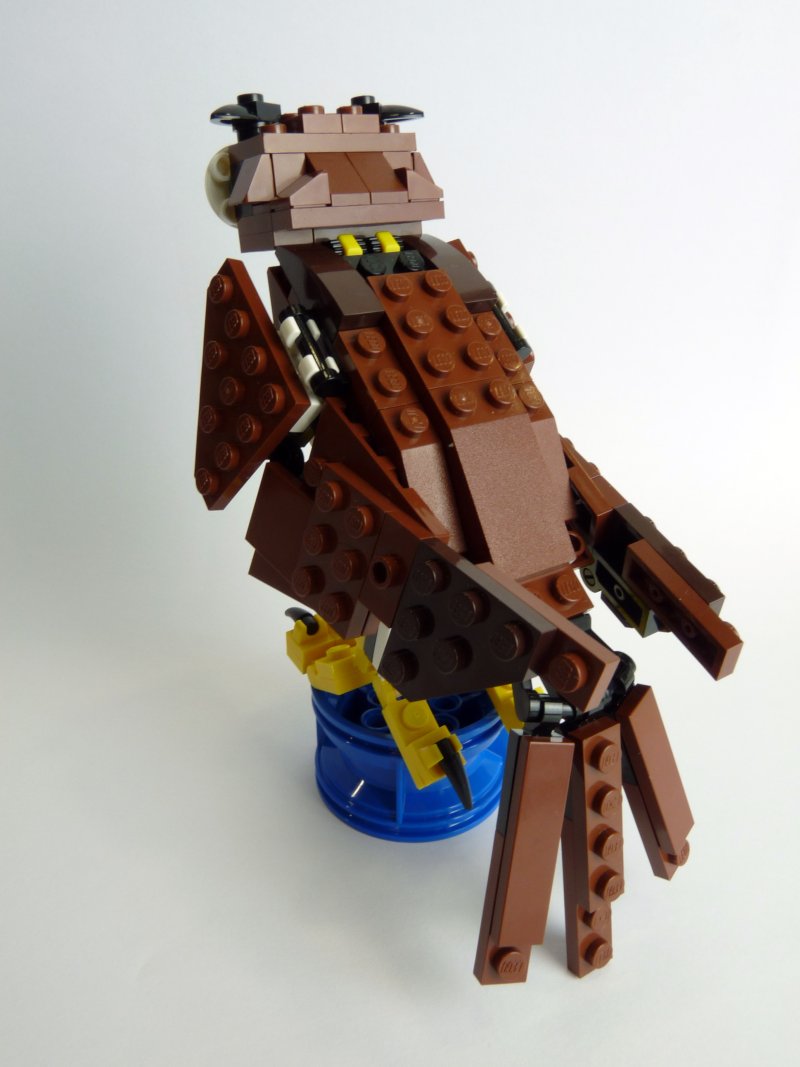 owl004.jpg