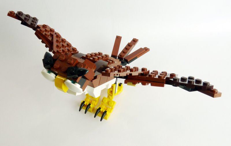 owl006.jpg