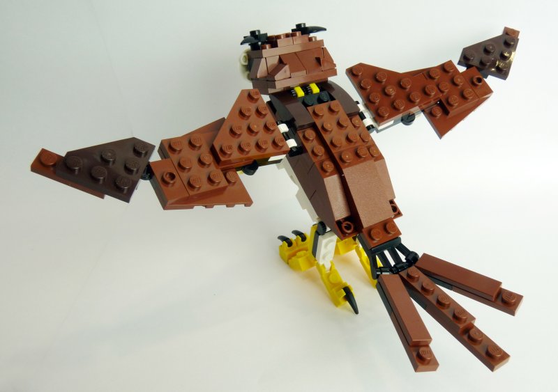 owl007.jpg