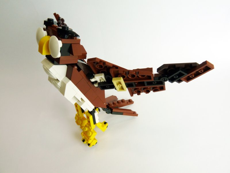 owl008.jpg