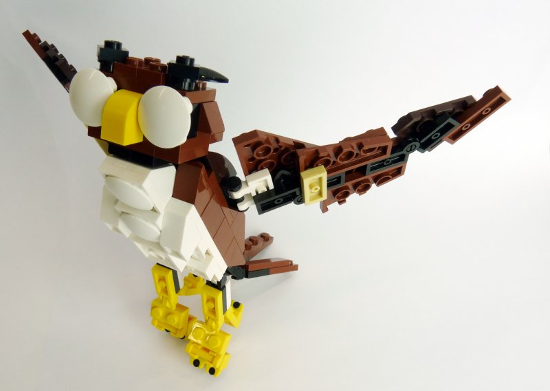 owl009.jpg