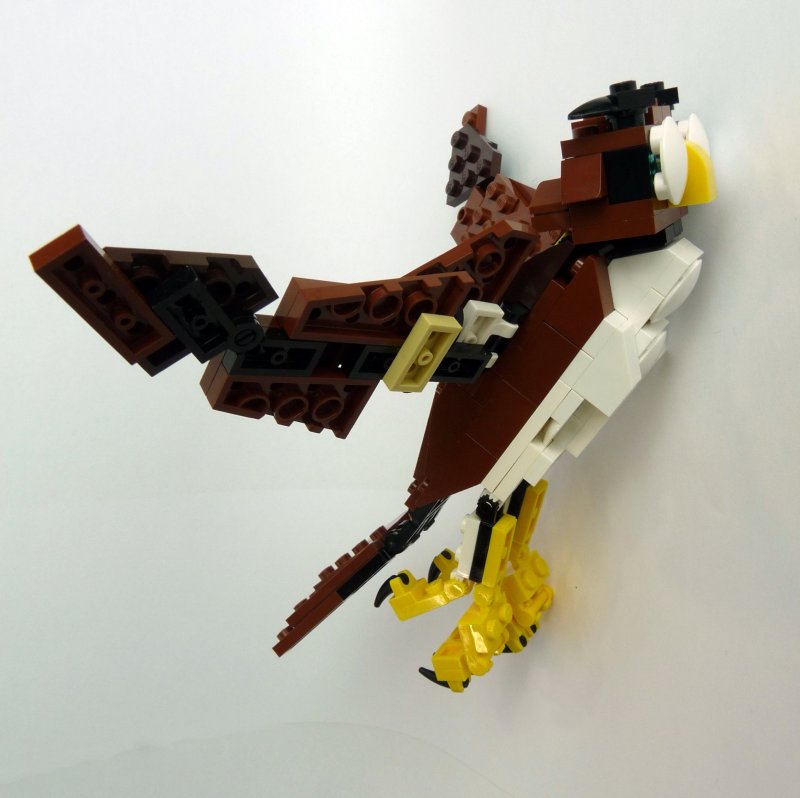owl010.jpg