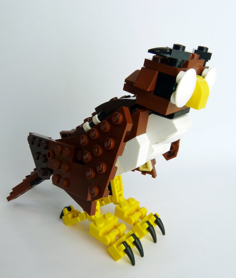 owl013.jpg
