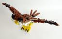 owl006.jpg
