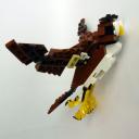owl010.jpg