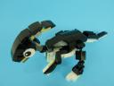 lophus001.jpg