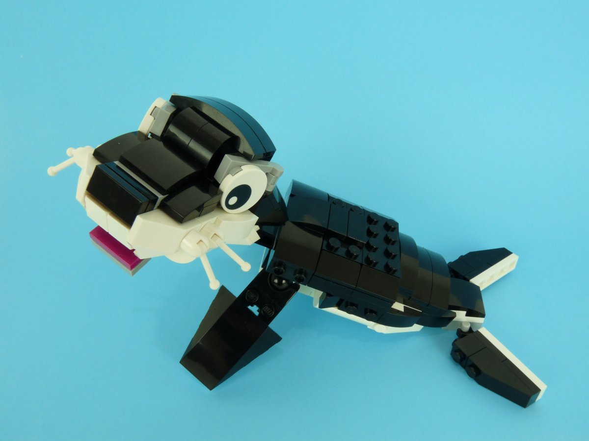 seal002.jpg