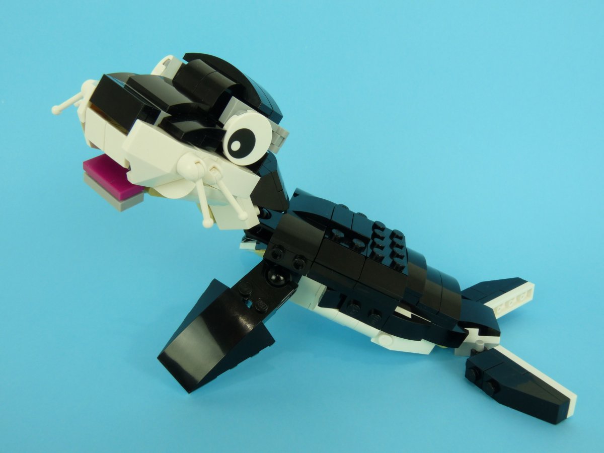 seal004.jpg