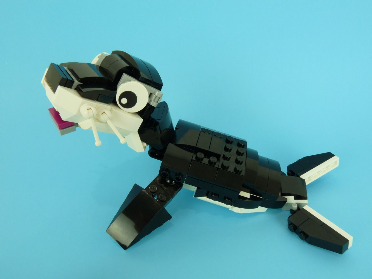 seal009.jpg