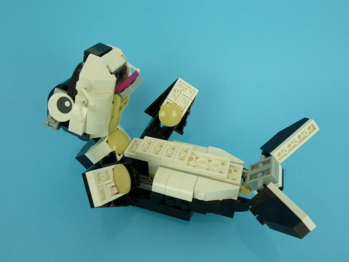seal010.jpg