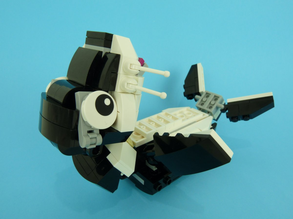 seal011.jpg