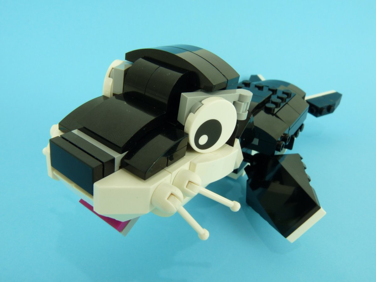 seal013.jpg
