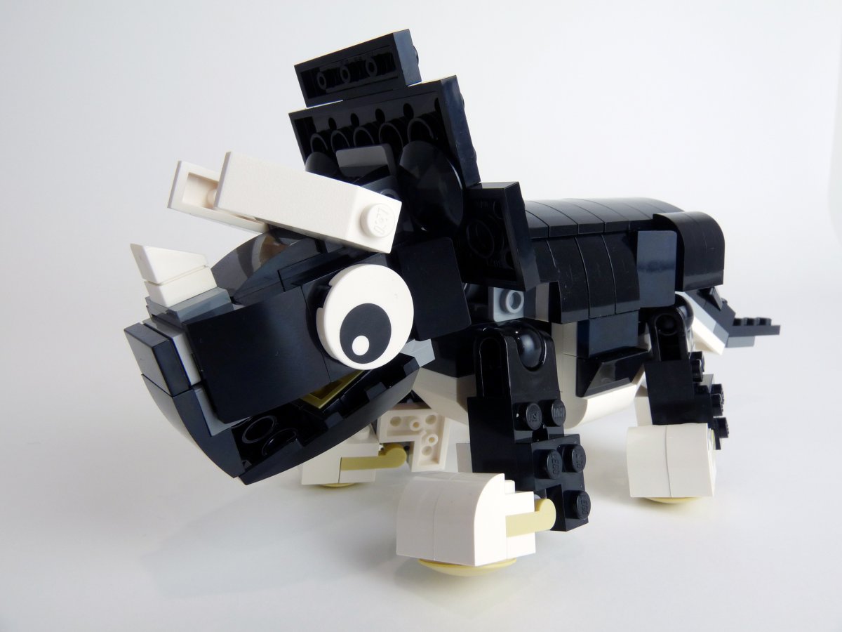 trcieratops002.jpg