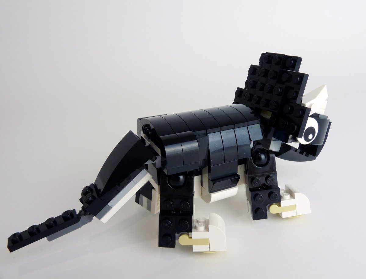 trcieratops005.jpg